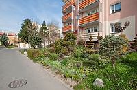 Mieszkańcy: Pielęgnowaliśmy to trzydzieści lat, teraz spółdzielnia każe wszystko usunąć