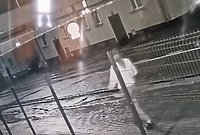 Policja szuka tej kobiety