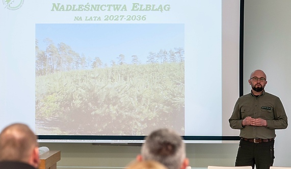 Co i jak chronić w lesie przed wycinką. Mieszkańcy mieli głos Co i jak chronić w lesie przed wycinką. Mieszkańcy mieli głos