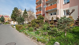 Mieszkańcy: Pielęgnowaliśmy to trzydzieści lat, teraz spółdzielnia każe wszystko usunąć Mieszkańcy: Pielęgnowaliśmy to trzydzieści lat, teraz spółdzielnia każe wszystko usunąć