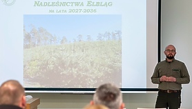 Co i jak chronić w lesie przed wycinką. Mieszkańcy mieli głos Co i jak chronić w lesie przed wycinką. Mieszkańcy mieli głos