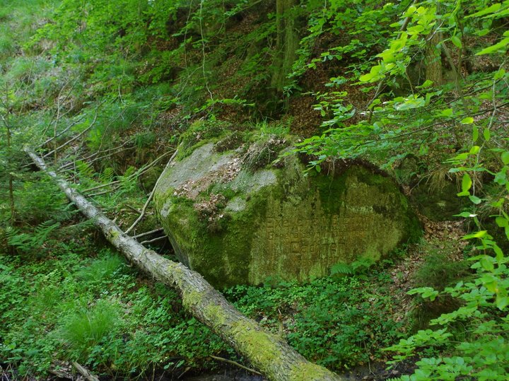 Kamień Etzdorfa w kadyńskim lesie (Czerwiec 2014)