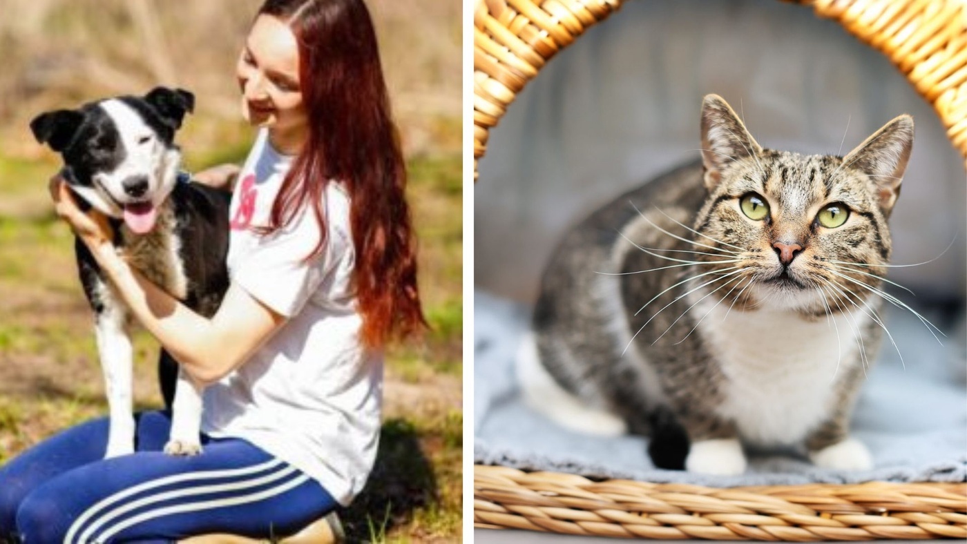 Elbląg, Galeria pod psem i kotem (Odc.412) Elbląg, Galeria pod psem i kotem (Odc.412)