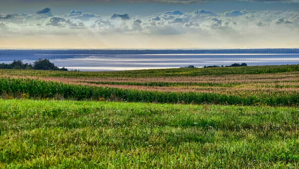 Elbląg * * * ABC NIERUCHOMOŚCI * * * WYJĄTKOWA DZIAŁKA INWESTYCYJNA Z WIDOKIEM NA ZALEW WIŚLANY powierzchnia