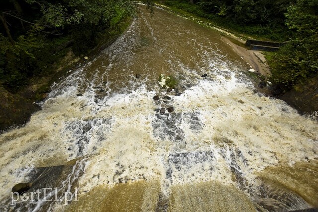 Czas na quiz. Czekając na wiosnę Quiz