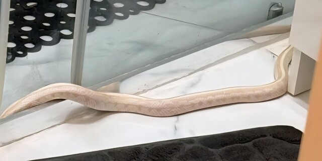 Czas na quiz. Co się działo w marcu? Quiz