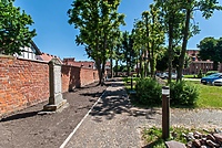 Lapidarium i herbarium powstają przy muzeum