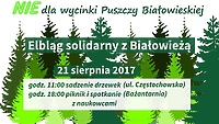 Elbląg solidarny z Białowieżą