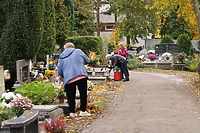 Elblążanie przygotowują się do Wszystkich Świętych