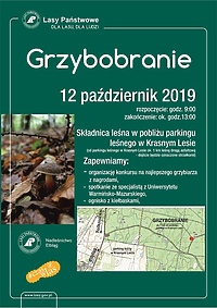 Grzybobranie z leśnikami