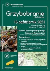 Grzybobranie z leśnikami