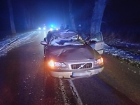 Wypadek w Hucie Żuławskiej.  Auto zderzyło się z łosiem