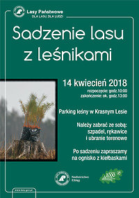 Sadzenie lasu z leśnikami już w sobotę