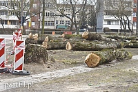 Wielkie cięcie na Zawadzie (wracamy do tematu)