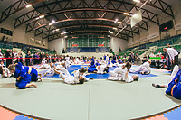 VI Tomita Cup za nami (judo)