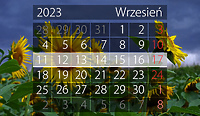 W tym tygodniu portEl poleca: Dni Seniora, Noc Muzeów, bitwa na Zalewie i planszówki