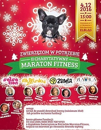 Weekendowy Bieg i Maraton Fitness – Zwierzakom w Potrzebie