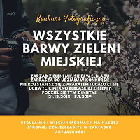 Weź udział w konkursie fotograficznym