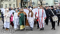 Wielbłąd dla Elbląga!