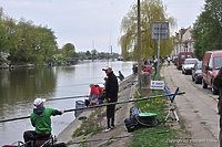 Wielkie wędkowanie w Elblągu