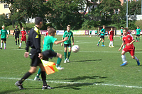 Wyniki turnieju Piekarczyk Cup 2013