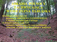 Wysoczyzna Elbląska - Arkadia Północy