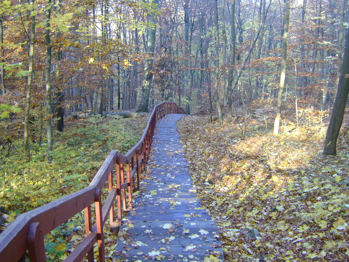 złoty szlak (Wrzesień 2012)