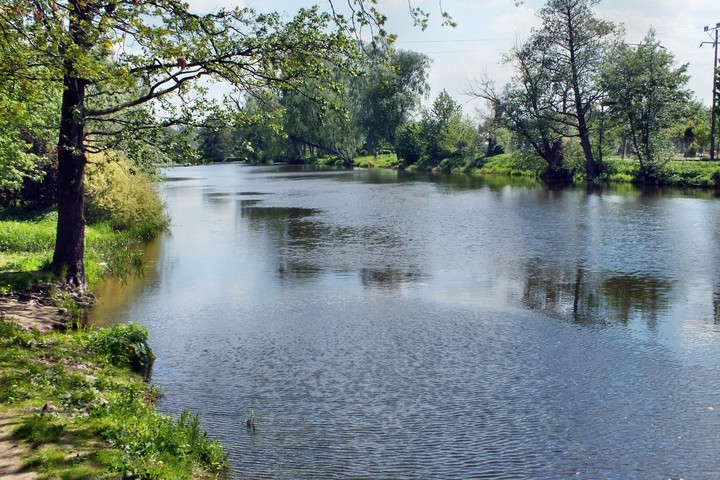 Rzeka Pasłęka płynie monotonnie,łagodnie meandrując w stronę Zalewu Wiślanego. (Czerwiec 2015)