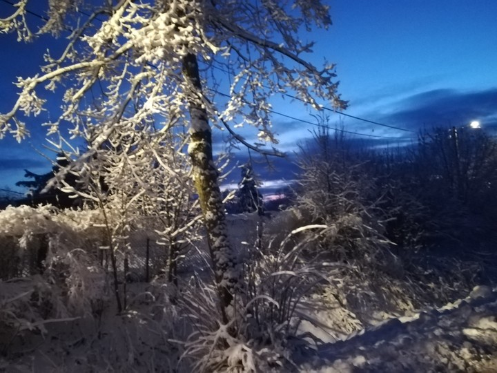 Zimowy Próchnik wieczorem 1 (Luty 2019)