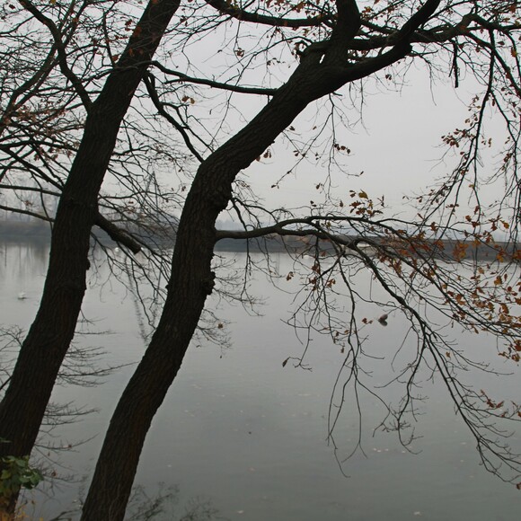 Rezerwat Przyrody Jezioro Drużno (Czerwiec 2024)