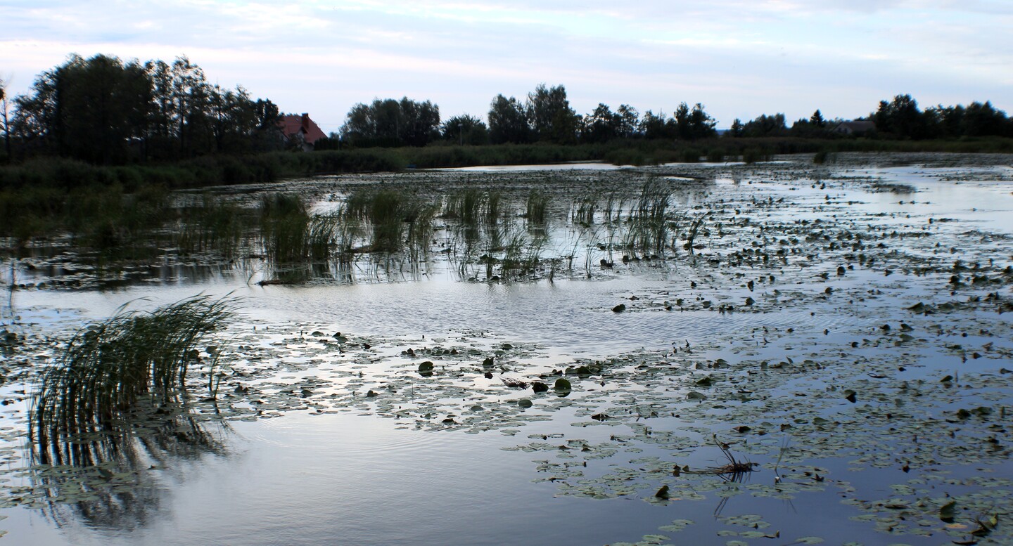 Zmierzch nad Nogatem