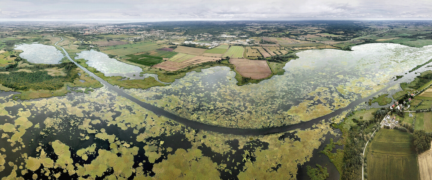 JEZIORO DRUŻNO