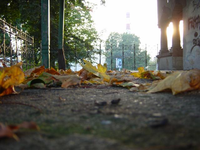 Elbląska jesień (Październik 2005)