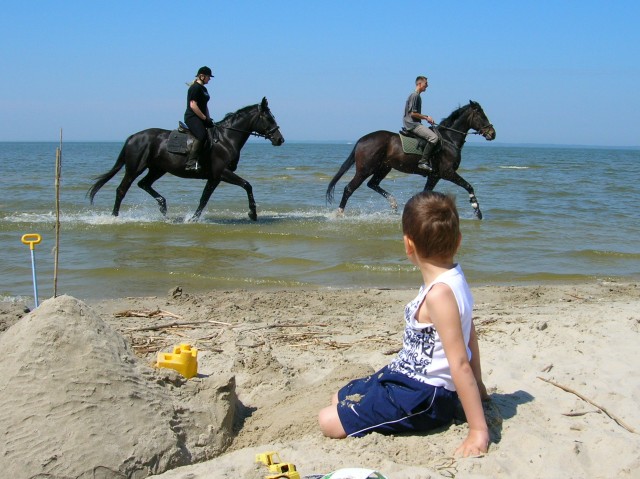 Jadą konie... (Maj 2007)