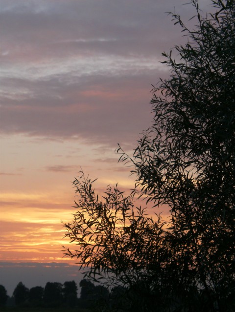 sierpniowy zachód słońca (Sierpień 2008)