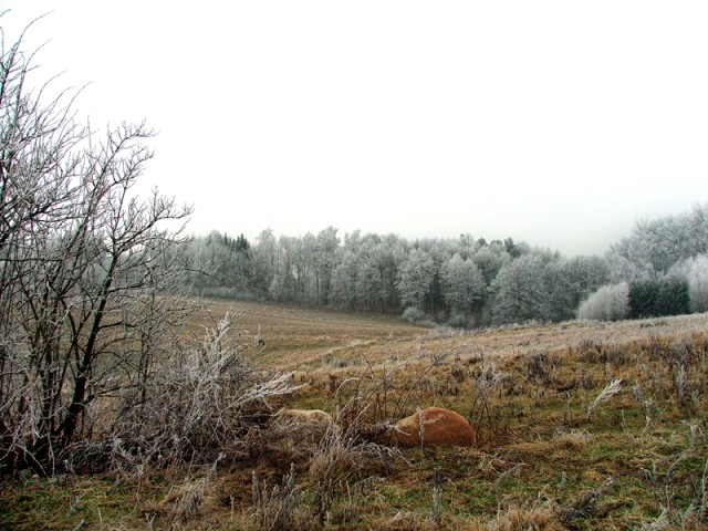 Wczesnozimowy krajobraz w okolicach Kadyn (Listopad 2008)