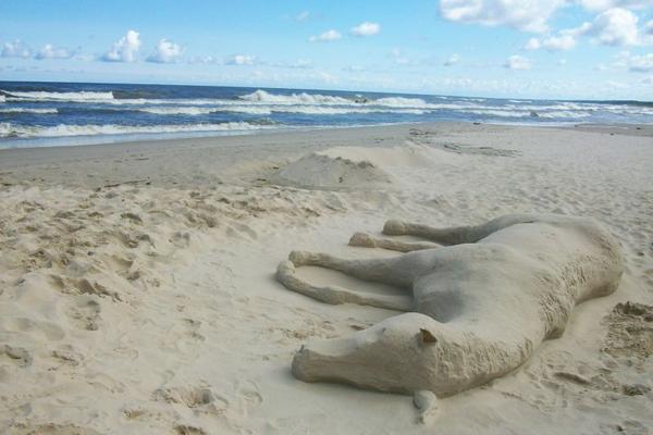 Rzeźba z piasku (Listopad 2008)