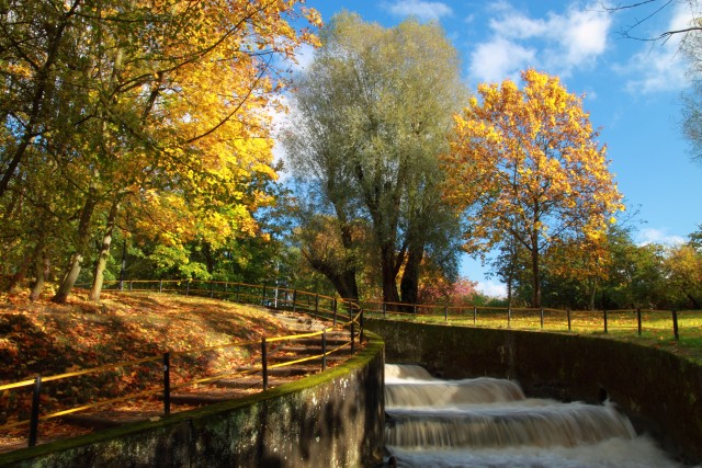 Jesienny Park (Październik 2009)