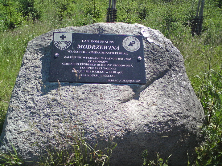 Kamień na Modrzewinie (Sierpień 2010)