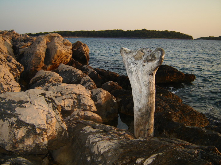 Gdzieś u wybrzeży Adriatyku... (Sierpień 2010)