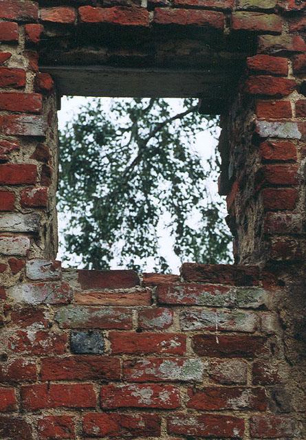 "Też okno" (ruiny na terenie Galerii El)