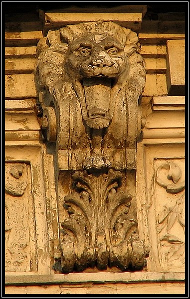 Stiukowy lew na budynku przy ul. Zacisze