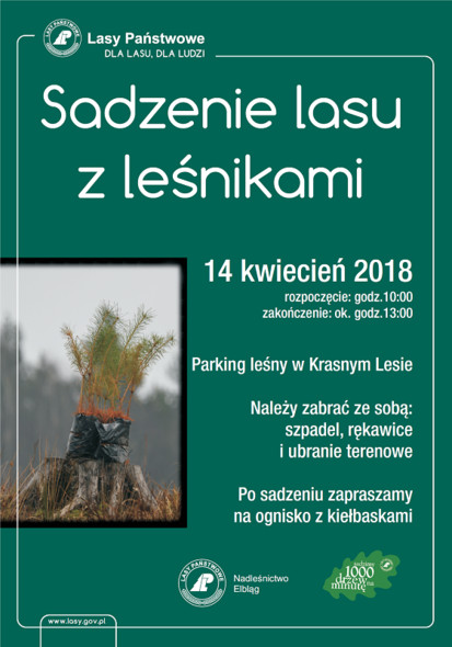 Elbląg, Sadzenie lasu z leśnikami już w sobotę