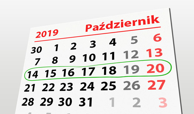 Elbląg, W tym tygodniu portEl poleca: Wielki Test Wiedzy o Elblągu, EOK i Dni Papieskie