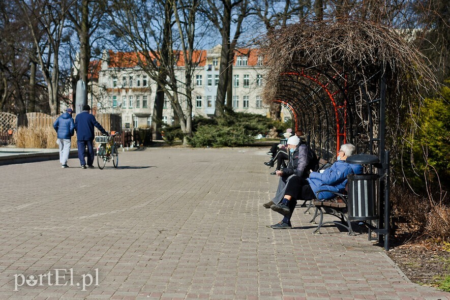 Elbląg, Czas na quiz. Elbląskie ciekawostki