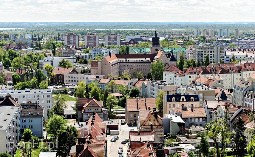 Elbląg, „Lato w Formie” po raz ósmy