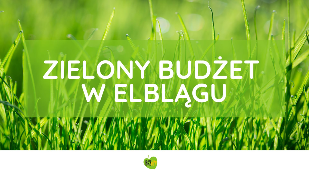 Elbląg, Zielony Budżet. Ostatnie dni głosowania