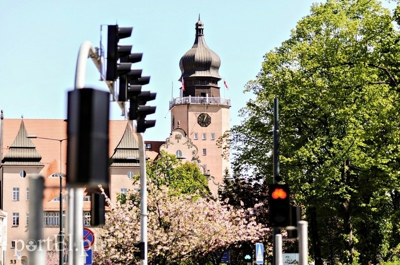 Elbląg, Kiedy mieszkaniec spotka radnego w urzędzie?