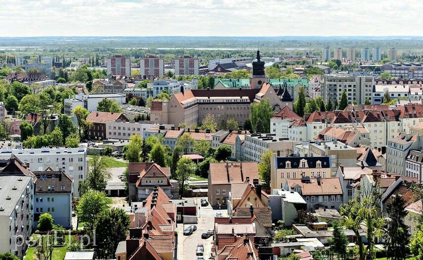 Elbląg, Lato w Formie. Piąty tydzień 