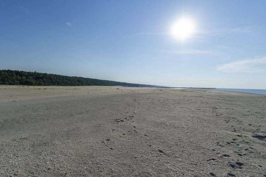 Elbląg, To najszersza plaża w Polsce